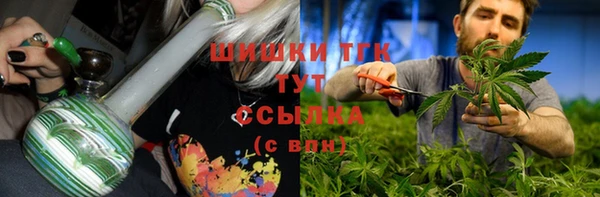 шишки Верхний Тагил